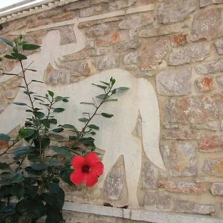 Ξενώνας Κέδρος Leonídion Esterno foto