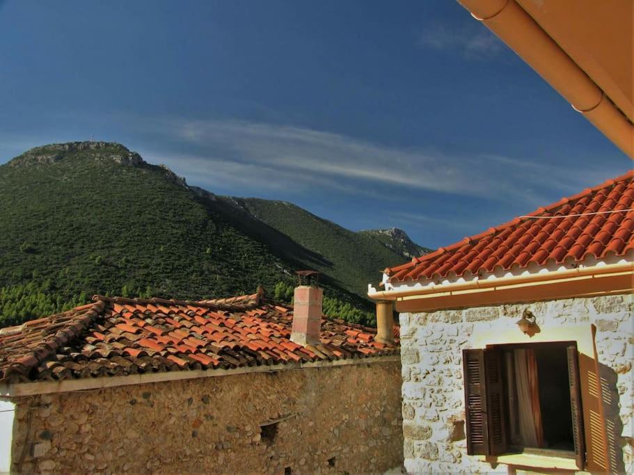 Apartment κέδρος *