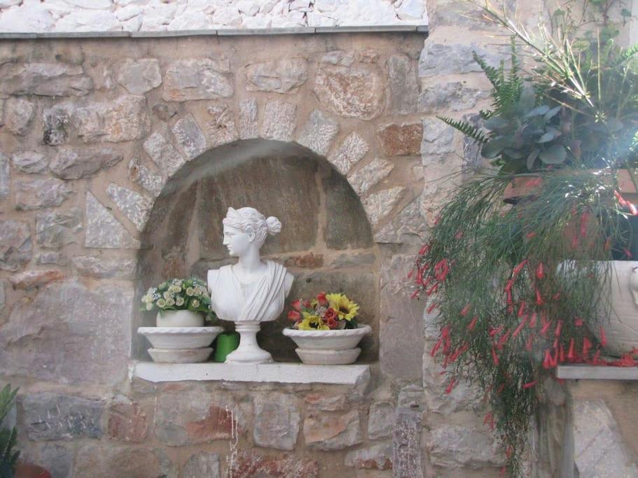 κέδρος