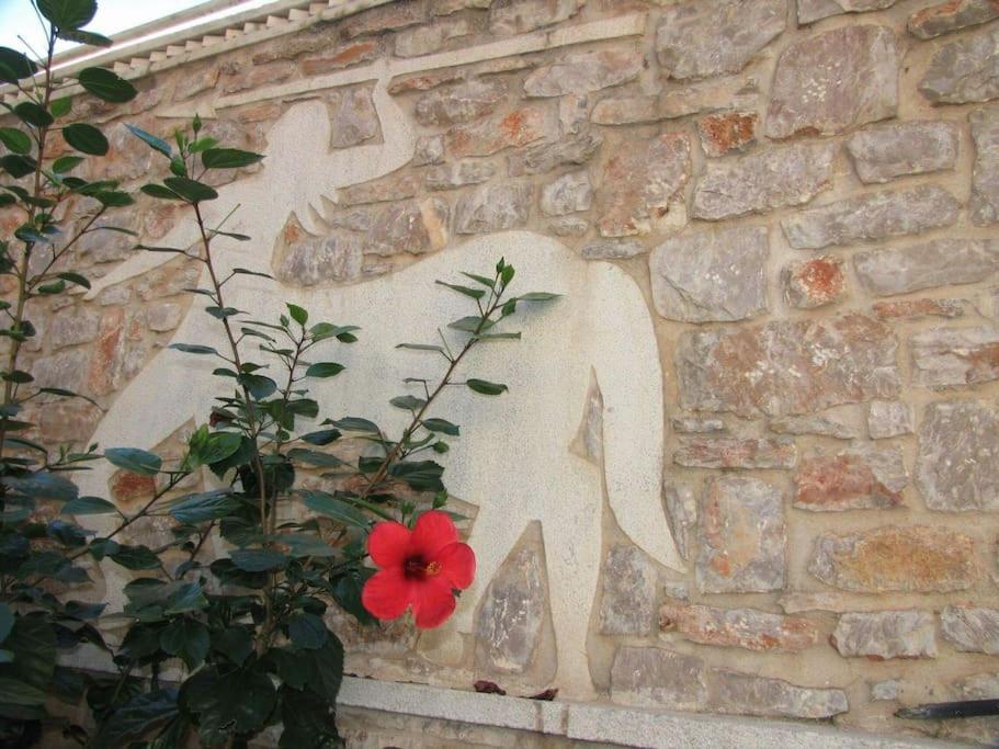 κέδρος Apartment *