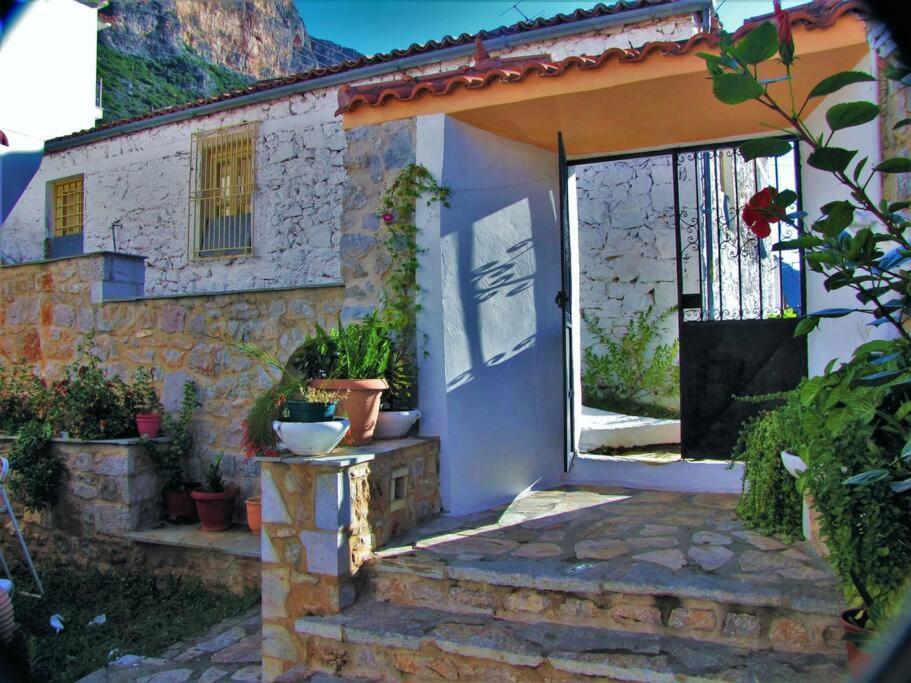 Apartment κέδρος