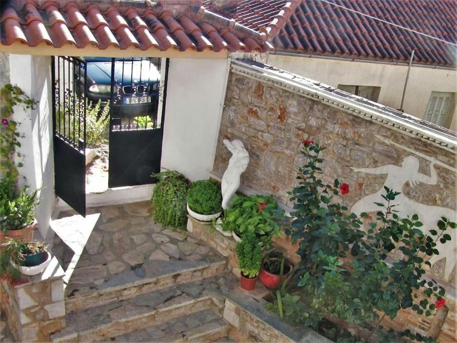 κέδρος Apartment