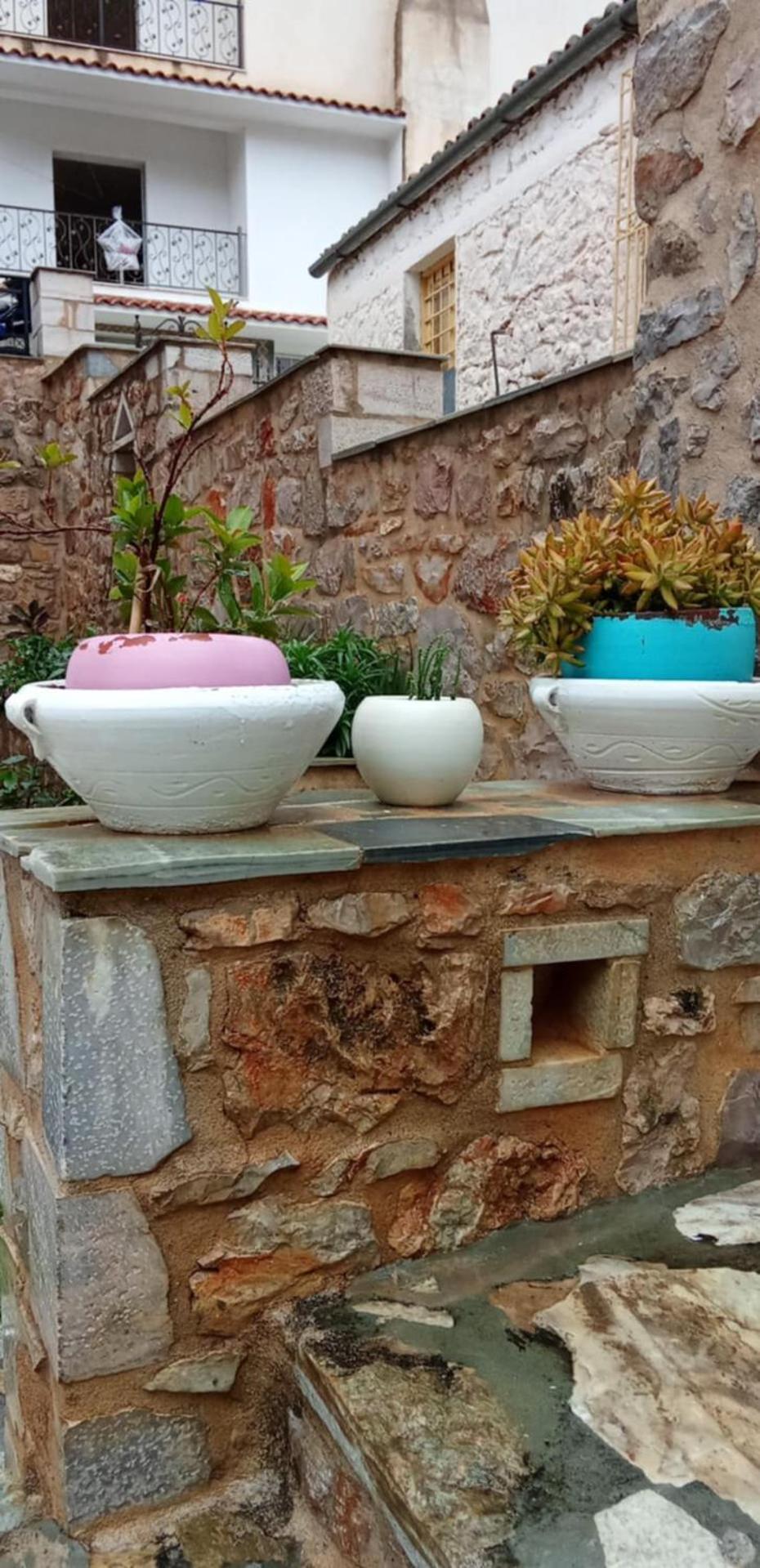 κέδρος