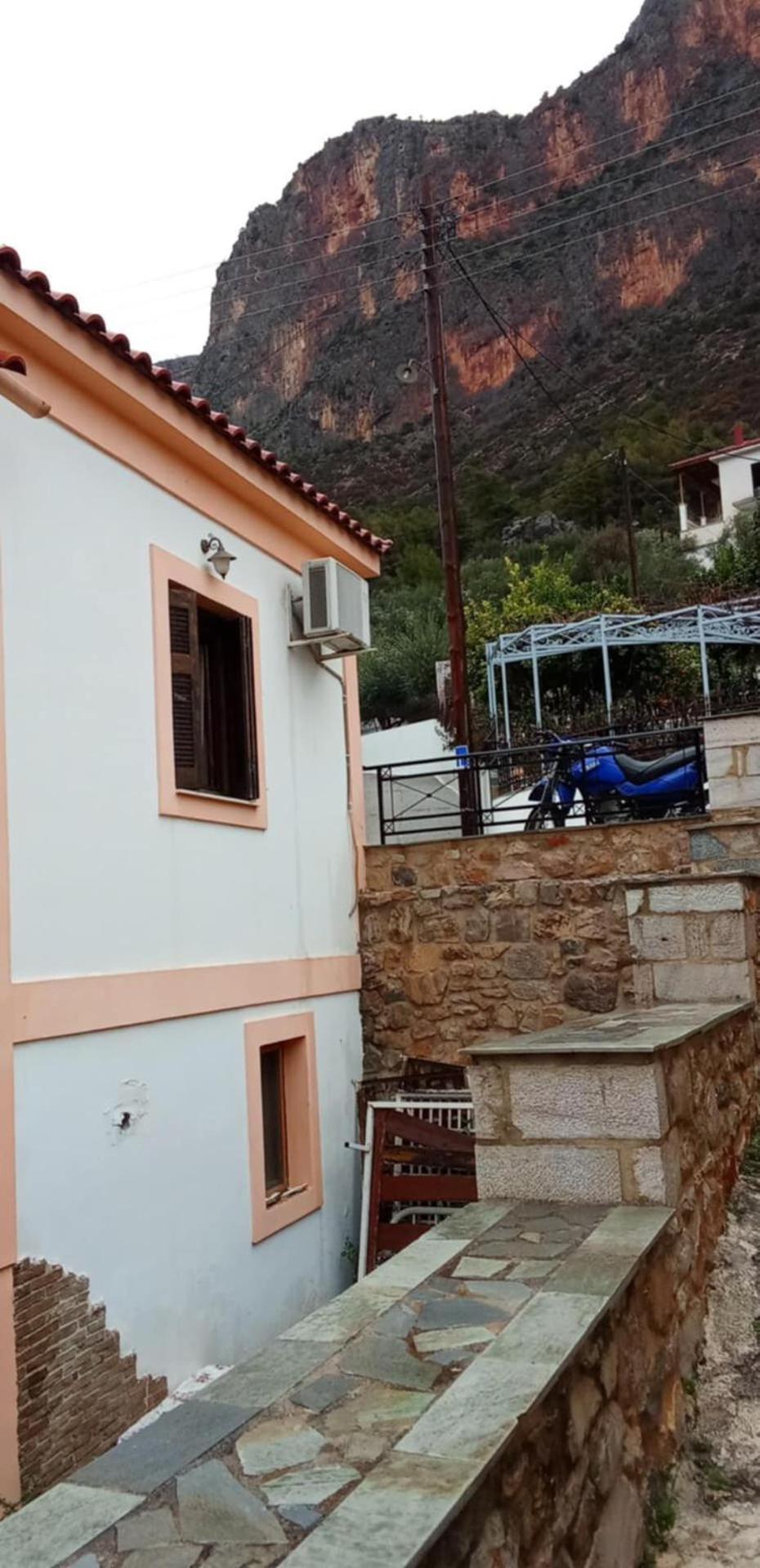 κέδρος * Leonidio